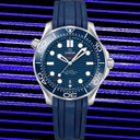 Seamaster Diver 300 m Co-axial Chronometer 42 mm