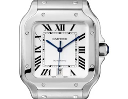 Santos Large Titanium