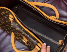 Louis Vuitton — сумка-переноска для собак