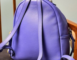 FENDI Crystal Flowerland Mini Backpack
