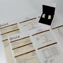 Серьги с двумя натуральными бриллиантами 4,01 ct