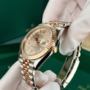 Datejust 41 mm Everose