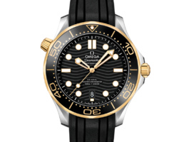 SEAMASTER DIVER 300 M