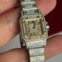 Santos Galbée Steel and Yellow Gold