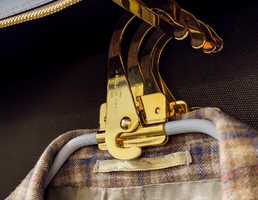 Портплед для одежды Louis Vuitton