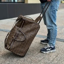 Сумка-чемодан LOUIS VUITTON Boston Bag Carry Case Eor 60 Damier Ebenu Brown